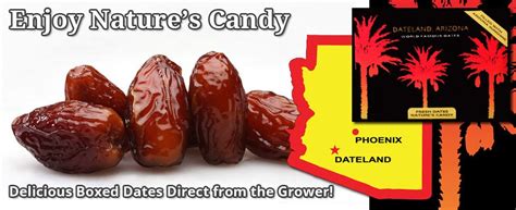 Fresh Medjool Dates and More from Dateland Date Gardens